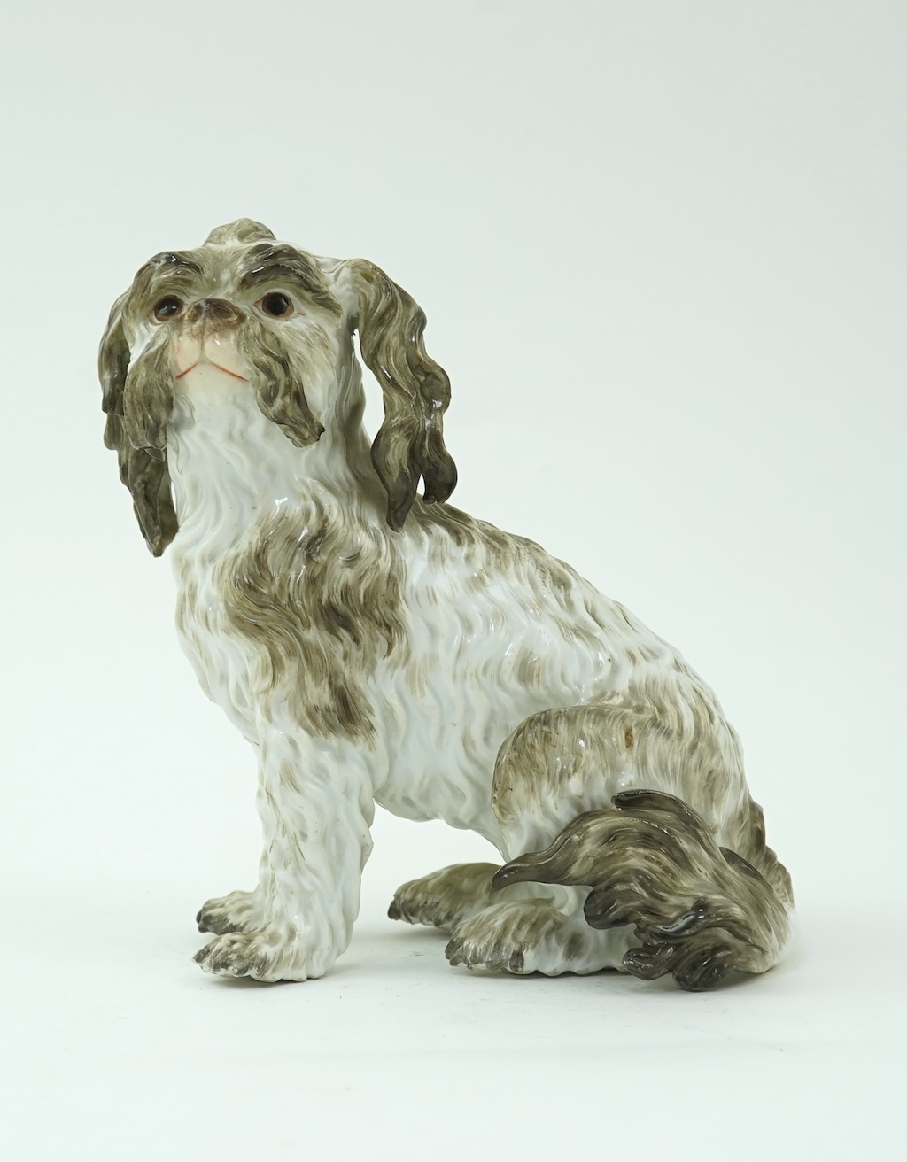 A Meissen figure of a seated Bolognese terrier, 19th century